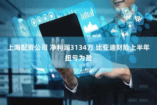 上海配资公司 净利润3134万 比亚迪财险上半年扭亏为盈